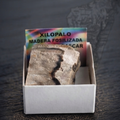 Esemplare di xilopalo naturale - legno fossilizzato trasformato in opale per collezione e meditazione
