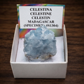 Esemplare di celestina naturale del Madagascar - cristallo di solfato di stronzio dal colore azzurro celeste