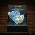 Esemplare di linarite naturale - cristallo blu di solfato di rame e piombo per collezione